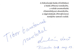 Leírás 1